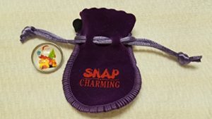 Snap Charming Santa Reindeer