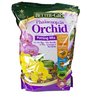 Sun Bulb Phalaenopsis Mix