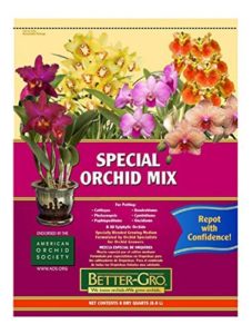 Sun Bulb Orchid Mix