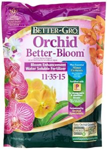 Sun Bulb Orchid Plus